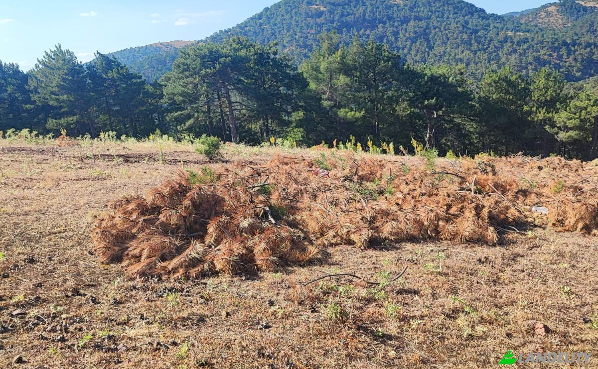 Farm/Ranch for Sale Kocakagan, Akhisar, Manisa, Turkiye, Isimsiz Yol, 45200 Akhisar Manisa. Photo 9
