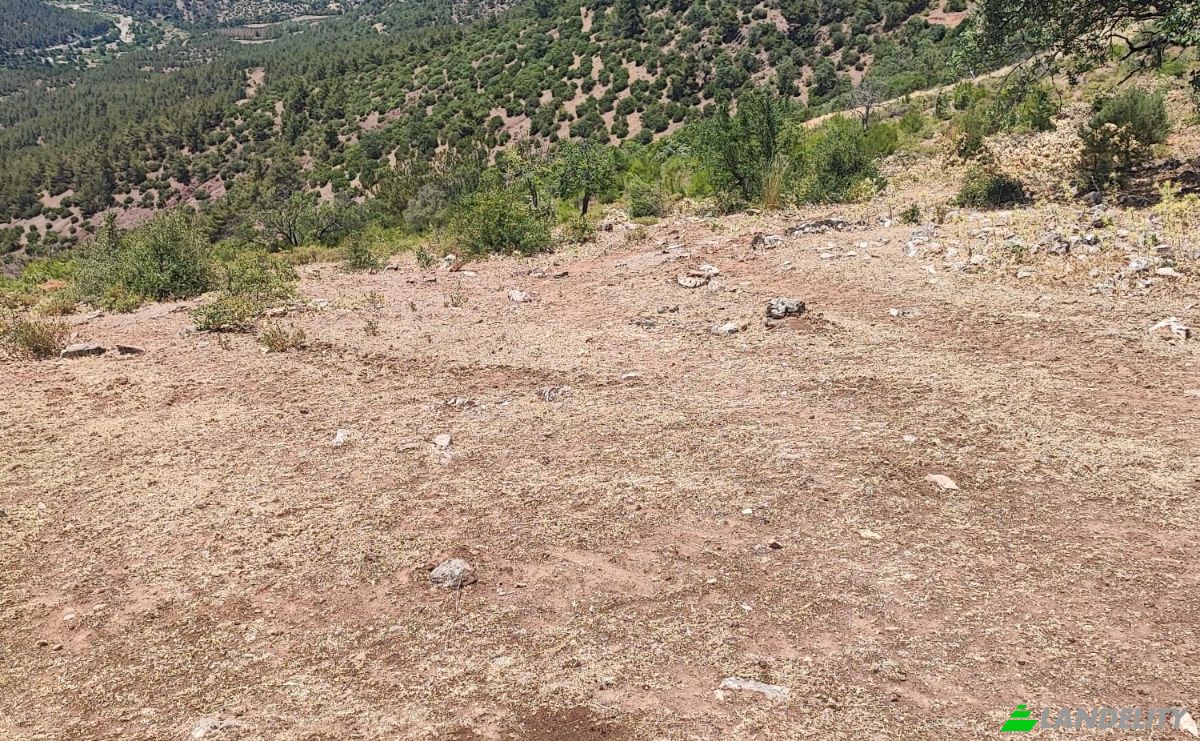 Investing/Development for Sale Kocakagan, Akhisar, Manisa, Turkiye, Kocakagan Koyu Ic Yolu, 45200 Akhisar Manisa. Photo 10