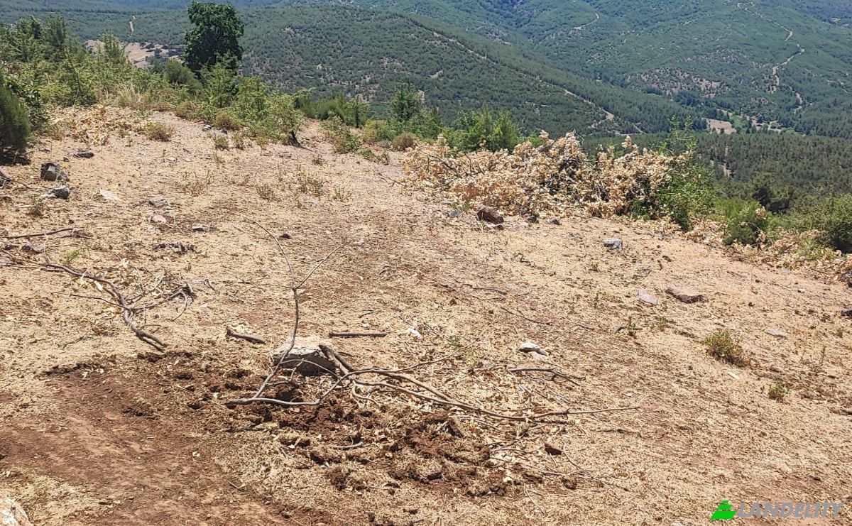 Investing/Development for Sale Kocakagan, Akhisar, Manisa, Turkiye, Kocakagan Koyu Ic Yolu, 45200 Akhisar Manisa. Photo 11
