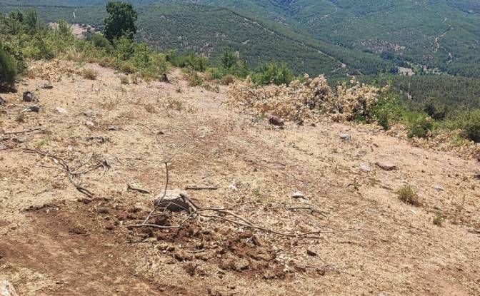Investing/Development for Sale Kocakagan, Akhisar. Photo#11