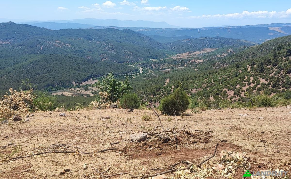 Investing/Development for Sale Kocakagan, Akhisar, Manisa, Turkiye, Kocakagan Koyu Ic Yolu, 45200 Akhisar Manisa. Photo 2