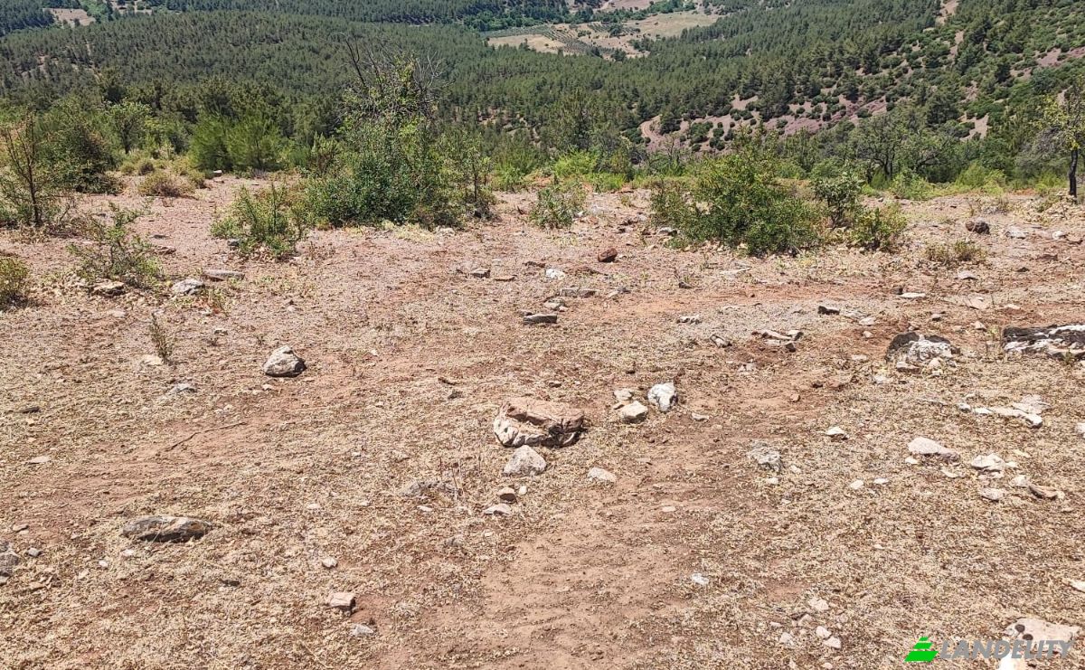 Investing/Development for Sale Kocakagan, Akhisar, Manisa, Turkiye, Kocakagan Koyu Ic Yolu, 45200 Akhisar Manisa. Photo 3