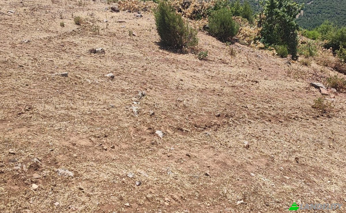 Investing/Development for Sale Kocakagan, Akhisar, Manisa, Turkiye, Kocakagan Koyu Ic Yolu, 45200 Akhisar Manisa. Photo 4