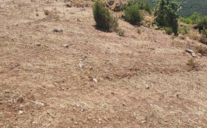 Investing/Development for Sale Kocakagan, Akhisar. Photo#4
