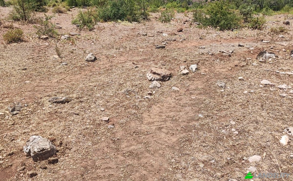 Investing/Development for Sale Kocakagan, Akhisar, Manisa, Turkiye, Kocakagan Koyu Ic Yolu, 45200 Akhisar Manisa. Photo 5