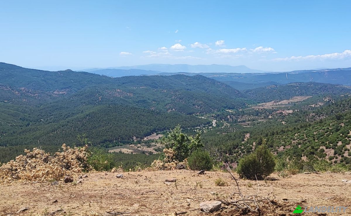 Investing/Development for Sale Kocakagan, Akhisar, Manisa, Turkiye, Kocakagan Koyu Ic Yolu, 45200 Akhisar Manisa. Photo 6