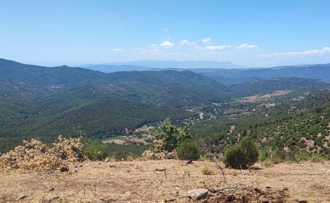 Investing/Development for Sale Kocakagan, Akhisar. Photo#6