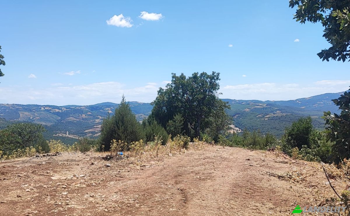 Investing/Development for Sale Kocakagan, Akhisar, Manisa, Turkiye, Kocakagan Koyu Ic Yolu, 45200 Akhisar Manisa. Photo 7