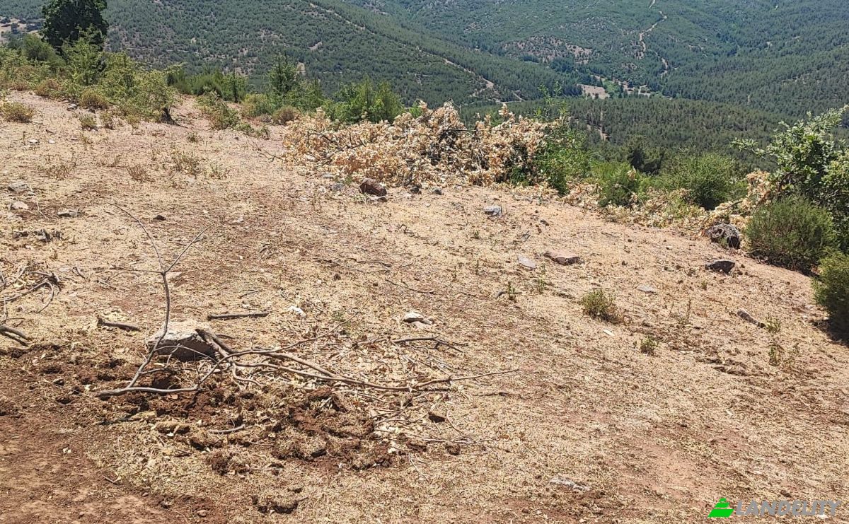 Investing/Development for Sale Kocakagan, Akhisar, Manisa, Turkiye, Kocakagan Koyu Ic Yolu, 45200 Akhisar Manisa. Photo 8