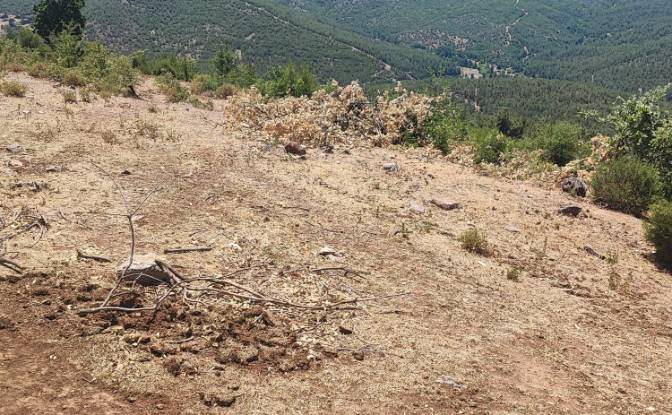 Investing/Development for Sale Kocakagan, Akhisar. Photo#8