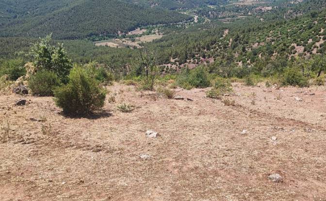 Investing/Development for Sale Kocakagan, Akhisar. Photo#9