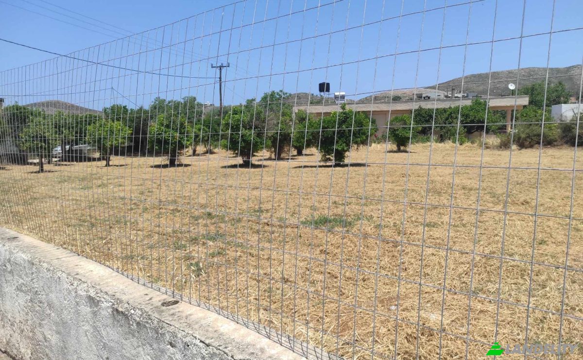 Land Lot for Sale Mochos 700 05, Mochos, Crete, Decentralized Administration of Crete, Greece. Photo 2