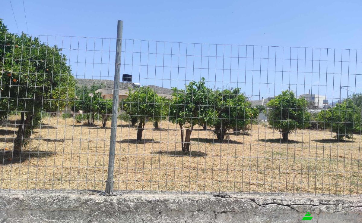 Land Lot for Sale Mochos 700 05, Mochos, Crete, Decentralized Administration of Crete, Greece. Photo 3
