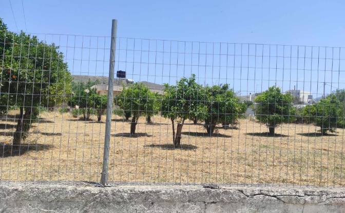 Land Lot for Sale Mochos 700 05, Mochos, Crete. Photo#3 Land Lot for Sale Mochos 700 05, Mochos, Crete. Photo#3