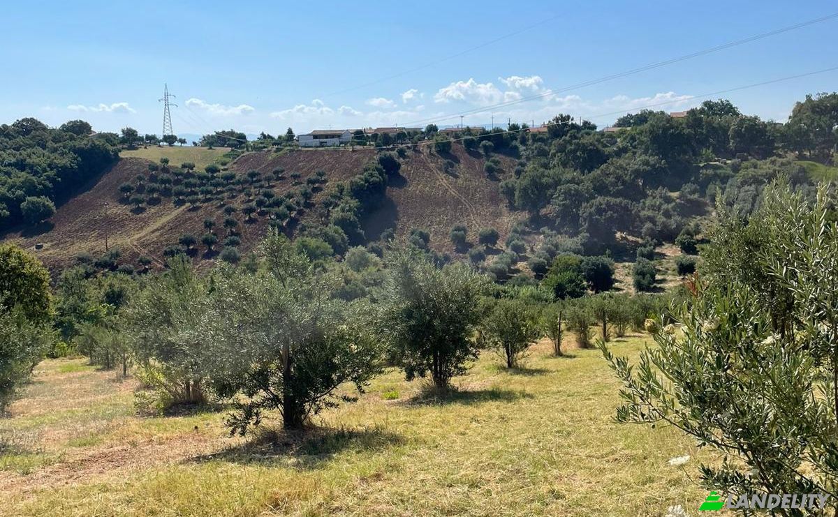 Land Lot for Sale Contrada Lotta, 155, 87018 San Marco Argentano CS, San Marco Argentano, Province of Cosenza, Calabria, Italy. Photo 2