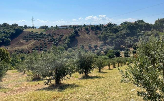 Land Lot for Sale Contrada Lotta, 155. Photo#2