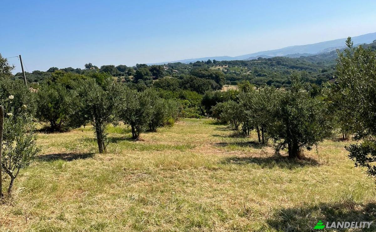 Land Lot for Sale Contrada Lotta, 155, 87018 San Marco Argentano CS, San Marco Argentano, Province of Cosenza, Calabria, Italy. Photo 3