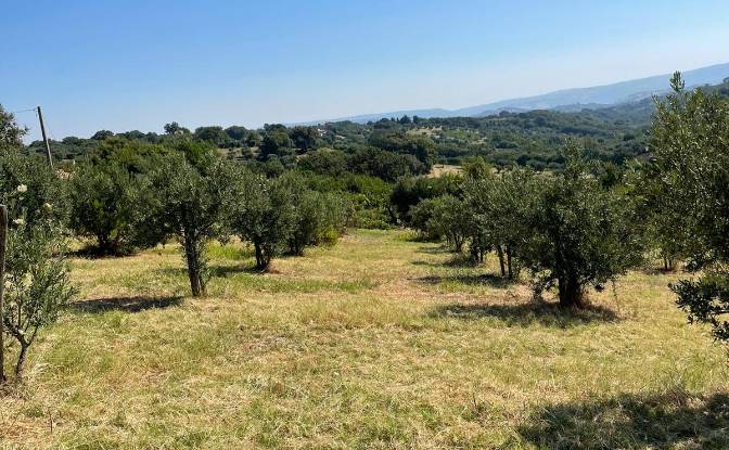 Land Lot for Sale Contrada Lotta, 155. Photo#3