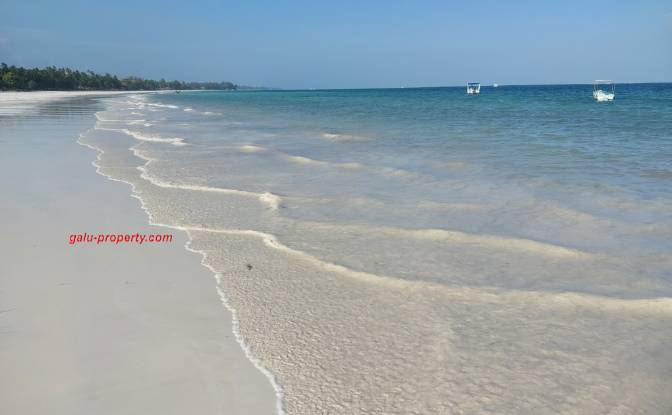 Grundstück zu verkaufen Gazi, Diani Beach. Foto#3