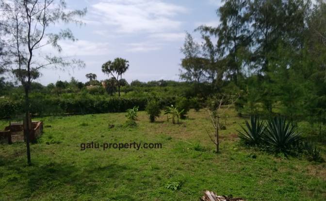 Grundstück zu verkaufen Gazi, Diani Beach. Foto#8