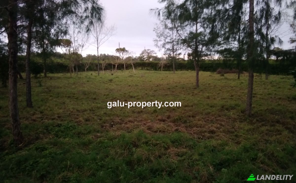 Grundstück zu verkaufen Gazi, Diani Beach, Msambweni, Kwale County, Kenya. Foto 9