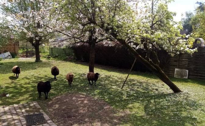 Eengezinswoning Te koop 9 Chenelong, 28160 Gohory. Foto#2