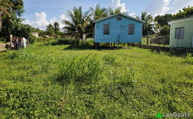 Land Lot for Sale Corozal, Corozal District. Photo#4