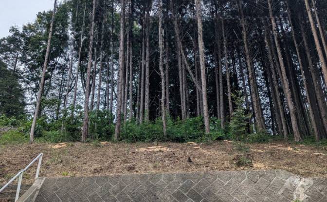 Land Lot for Sale 1-chome-2-13 Fiorekitsuregawa. Photo#2 Land Lot for Sale 1-chome-2-13 Fiorekitsuregawa. Photo#2