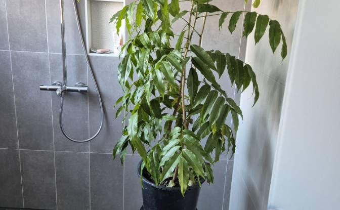 Einfamilienhaus zu verkaufen Myllykatu 7. Foto#9