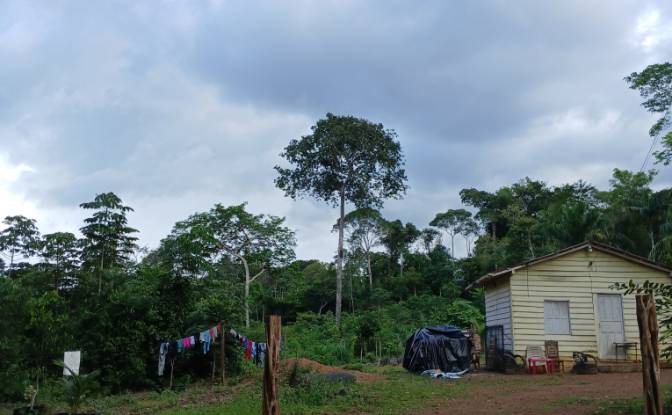 Land Lot for Sale Caracarai, State of Roraima. Photo#3 Land Lot for Sale Caracarai, State of Roraima. Photo#3