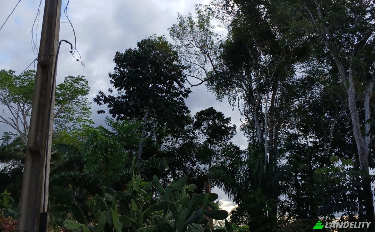 Land Lot for Sale Caracarai, State of Roraima, Brazil, 69360-000. Photo 4