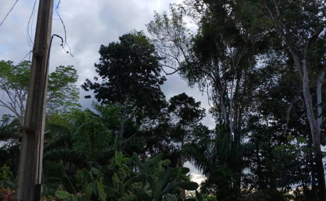 Land Lot for Sale Caracarai, State of Roraima. Photo#4 Land Lot for Sale Caracarai, State of Roraima. Photo#4