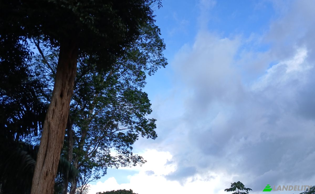 Land Lot for Sale Caracarai, State of Roraima, Brazil, 69360-000. Photo 5