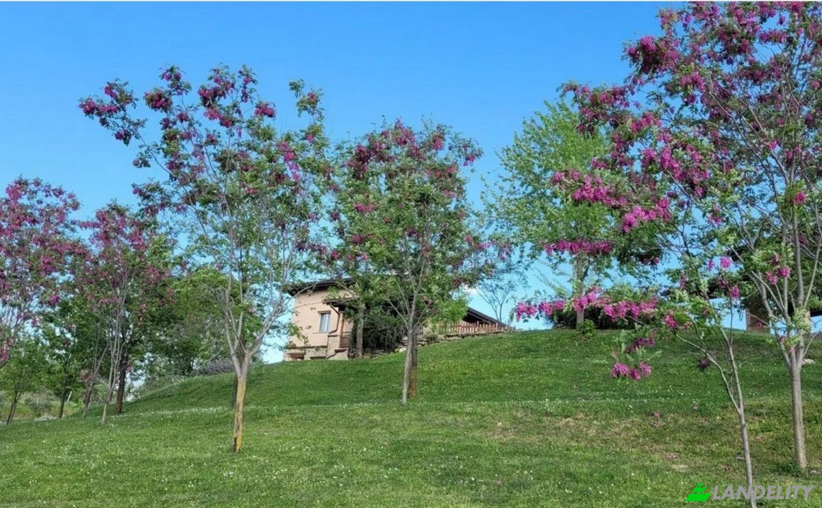 Villa for Sale Strada Bagnolo, 47014 Meldola FC, Meldola, Province of Forli-Cesena, Emilia-Romagna, Italy. Photo 13