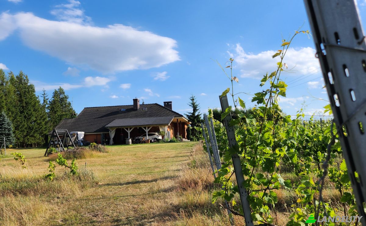 Investing/Development for Sale Bycz 34A, 67-115, Bycz, Nowa Sol County, Lubusz Voivodeship, Poland. Photo 16
