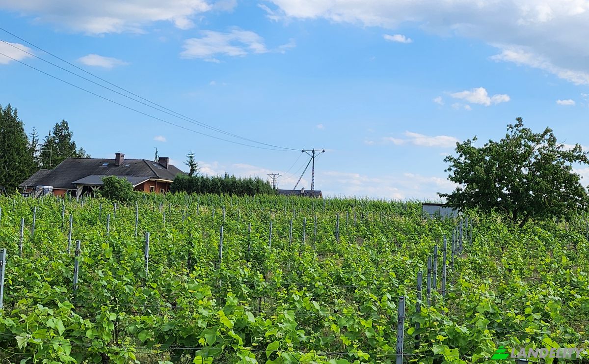 Investing/Development for Sale Bycz 34A, 67-115, Bycz, Nowa Sol County, Lubusz Voivodeship, Poland. Photo 17