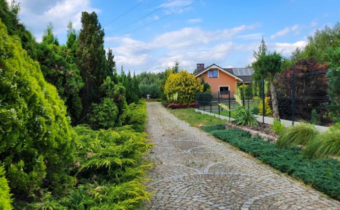 Investing/Development for Sale Bycz 34A, 67-115. Photo#18