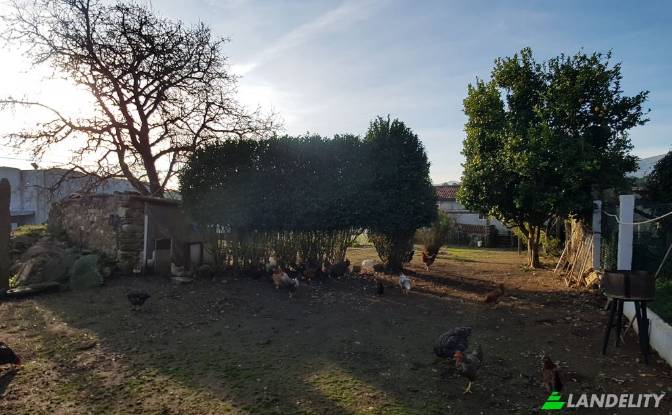 Single Family Home for Sale Camino da Sueira. Photo#10