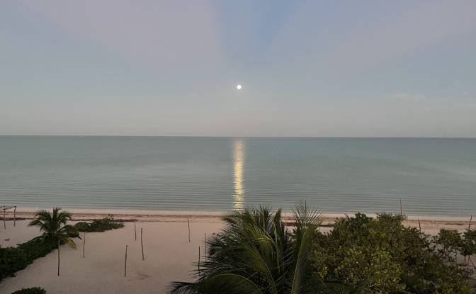 Hotel for Sale 12 571, Benito Juarez. Photo#6