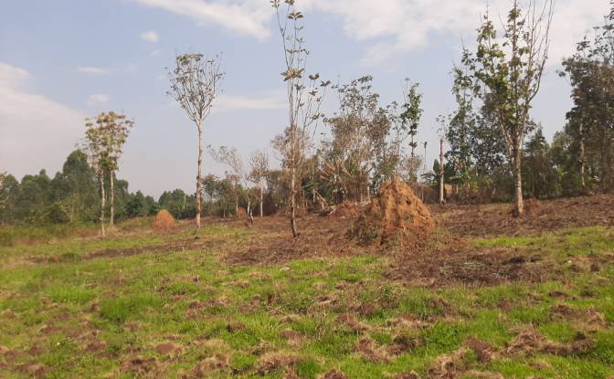 Investing/Development for Sale Nsimbe, Mpigi. Photo#2