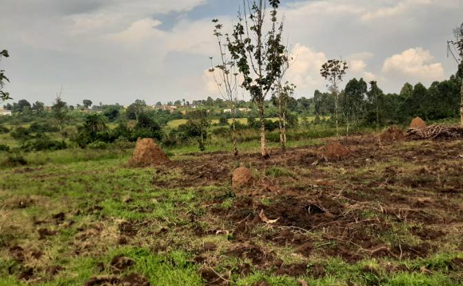 Investing/Development for Sale Nsimbe, Mpigi. Photo#3