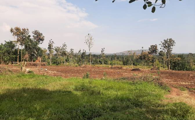 Investing/Development for Sale Nsimbe, Mpigi. Photo#5