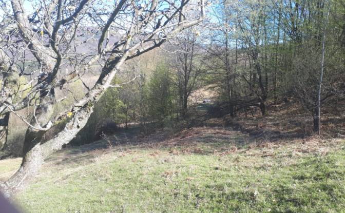 Land Lot for Sale Drum Fara Nume, Valeni, Metes. Photo#3 Land Lot for Sale Drum Fara Nume, Valeni, Metes. Photo#3