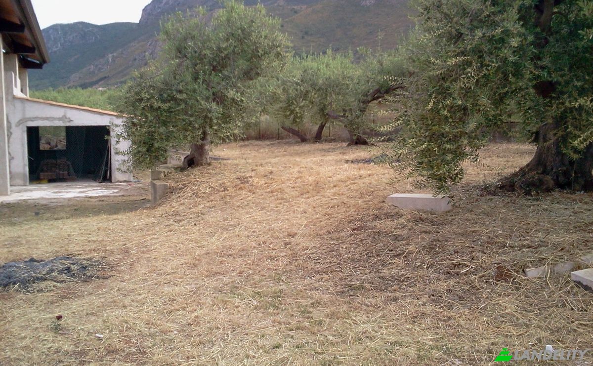 Investeren/Ontwikkelen Te koop Str Vicinale S Nicola, 90010 Altavilla Milicia PA, Altavilla Milicia, Metropolitan City of Palermo, Sicily, Italy. Foto 6