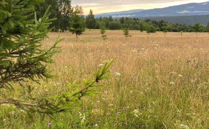 Land Lot for Sale - Izvoare, Romania
