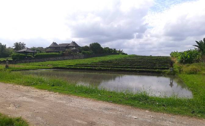 Land Lot for Sale Sudimara, Tabanan Regency, Bali. Photo#10 Land Lot for Sale Sudimara, Tabanan Regency, Bali. Photo#10