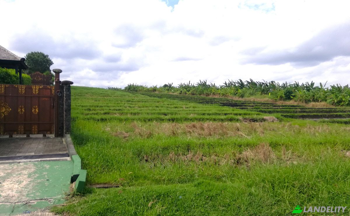Land Lot for Sale Sudimara, Tabanan Regency, Bali, Indonesia, Tabanan. Photo 6