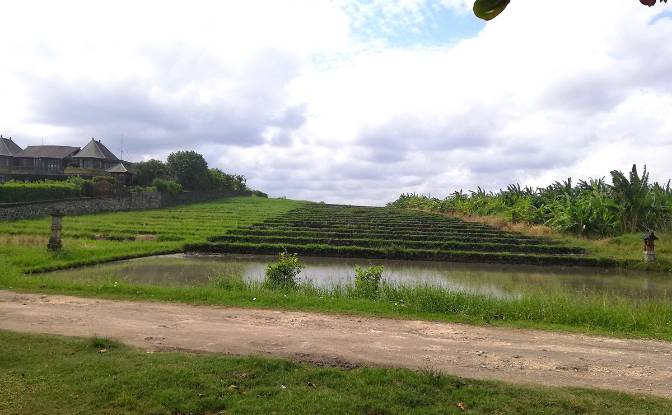 Land Lot for Sale Sudimara, Tabanan Regency, Bali. Photo#9 Land Lot for Sale Sudimara, Tabanan Regency, Bali. Photo#9