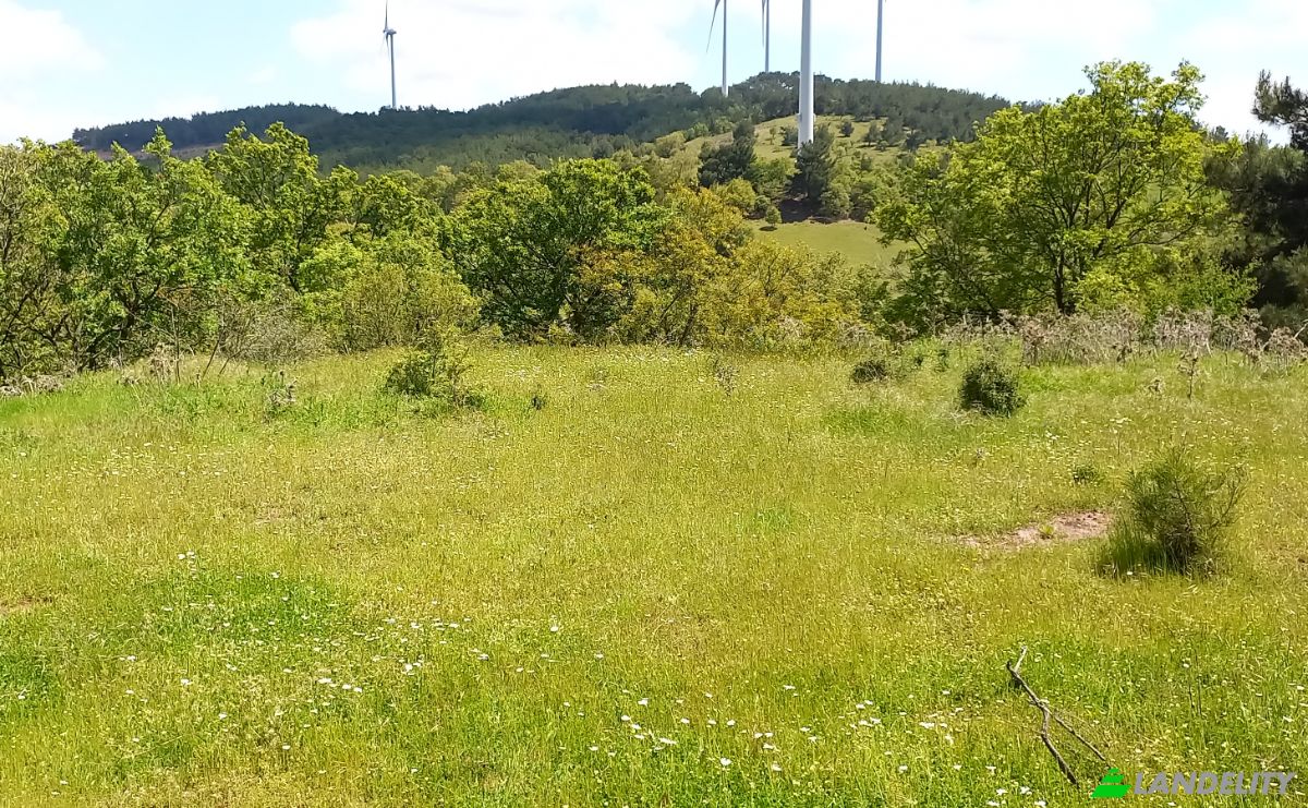 Land Lot for Sale Kocadag, Isimsiz Yol, 10562 Havran Balikesir, Havran Balikesir, Havran, Balikesir, Turkiye. Photo 4