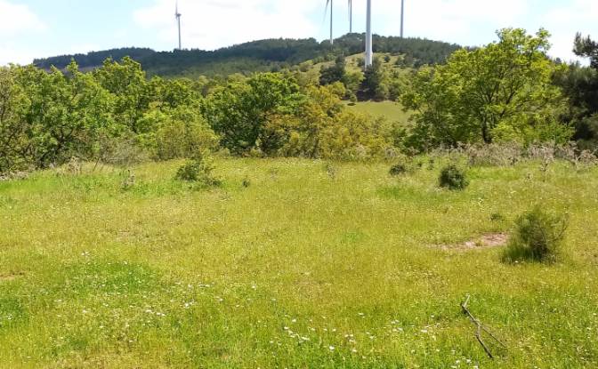 Land Lot for Sale Kocadag, Isimsiz Yol. Photo#4